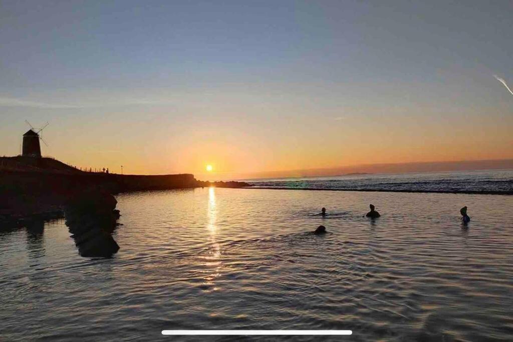 No3 By The Sea A 5 Star Cozy Coastal Cottage Saint Monance Екстериор снимка
